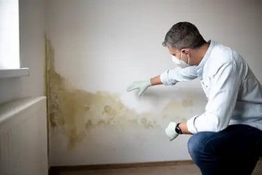Clyde Hill Mold Removal Quick Clyde Hill mold removal in WA near 98004