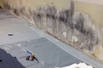 Covington Mold Removal Company