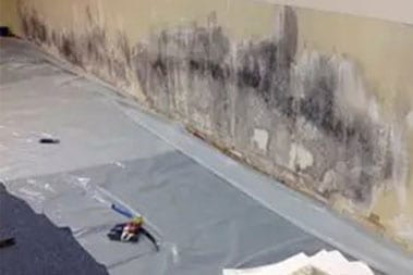 Detailed Enumclaw mold restoration services in WA near 98022