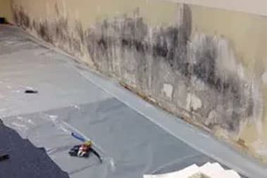 Duvall mold treatment