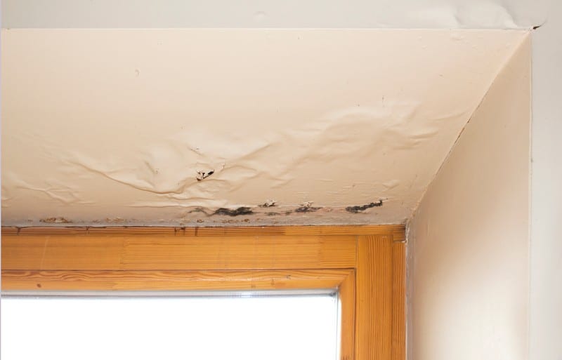 Burien Water Damage Companies