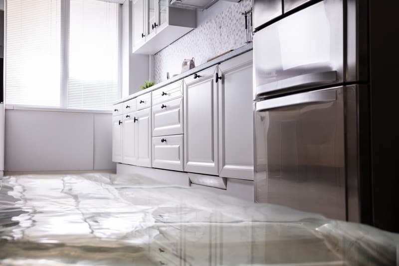 DuPont Water Damage Companies