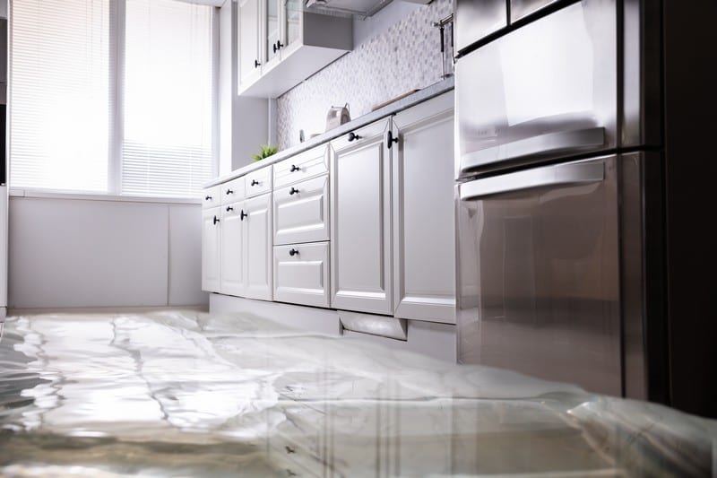 Issaquah Water Damage Companies