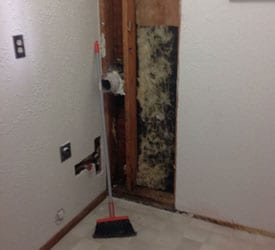 Gig Harbor Mold Removal