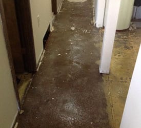 Everett Water Damage Restoration