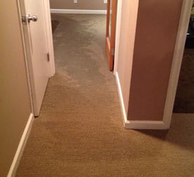 Gig Harbor Water Removal