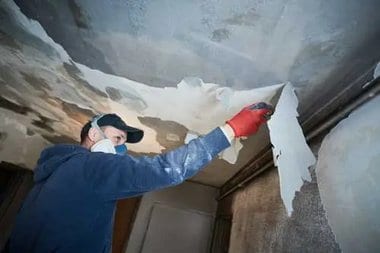 Expert South Hill damage repair near me in WA near 98373