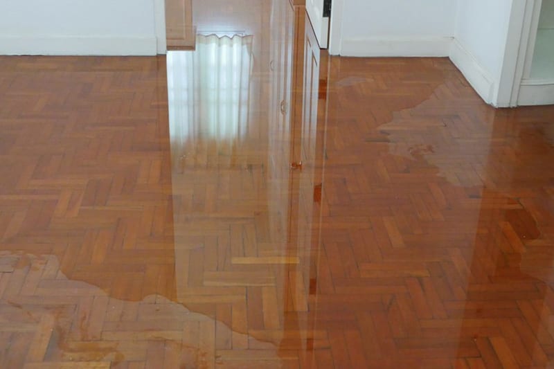 Seattle Flood Damage Contractors