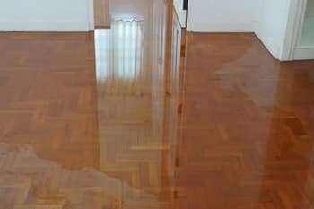 South Hill Water Damage Company