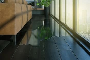 Parkland Water Damage Repair Near Me