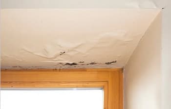 South Hill Water Damage Repair Near Me
