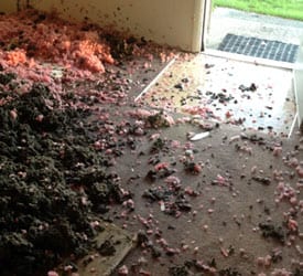 Mold-Removal-Redmond-WA