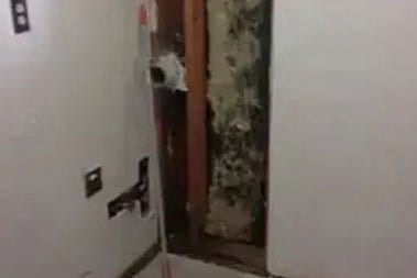 Olympia black mold removal in WA near 98512