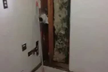 Tumwater Mold Remediation Tumwater Mold Remediation