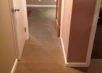 Shoreline Flood Remediation