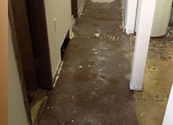 Shoreline Water Damage Restoration