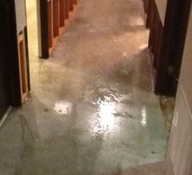 Olympia Flood Damage