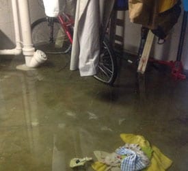 Puyallup Repair Water Damage