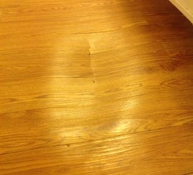 Seattle Water Damage