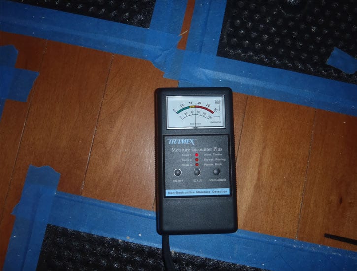 Issaquah Mold Detection