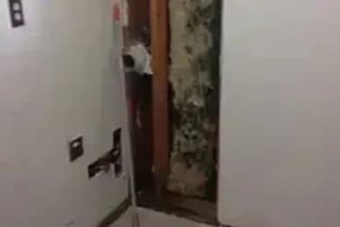 Kirkland Mold Removal