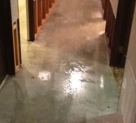 Lynnwood Water Damage Repair Services